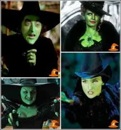 La méchante sorcière de l'Ouest est un personnage issu du :