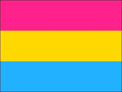Que veut dire "pansexuel" ?