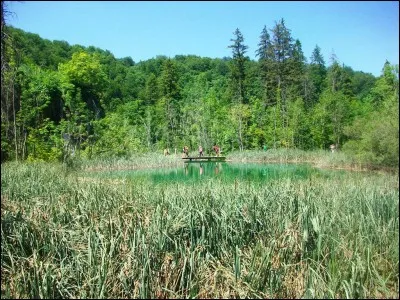 Votre patron vous propose une belle promotion. Vous allez gagner nettement plus, mais vos tâches vont devenir plus complexes et vous prendront plus de temps. Que faites-vous ?