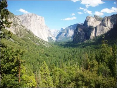 Lorsqu'on vous parle des rémunérations des grand patrons, qu'en pensez-vous ?