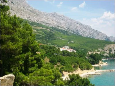 Les marchés financiers, la Bourse, les placements... Vous y comprenez quelque chose ?