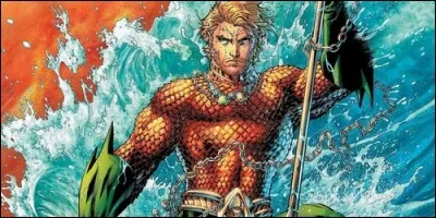 Aquaman est personnage appartenant à l'univers DC Comics.