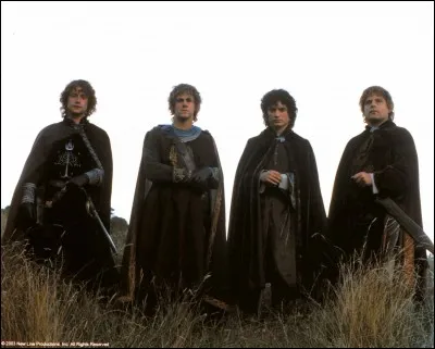 Qui a failli se noyer en voulant accompagner Frodon ?