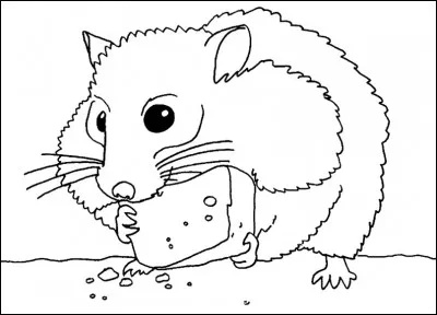 Quelle est la meilleure cage pour votre hamster ?