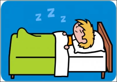 Vrai ou faux ? Le hamster est un animal nocturne.