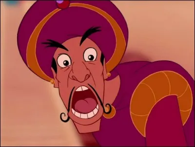 Quels motifs y a-t-il sur le caleçon du prince Achmed ?