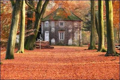 Qui nous parlait d'une maison "sentant la confiture, le désordre et l'obscurité, l'automne, l'enfance, l'éternité" ?
