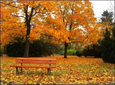 Qui chantait "A chaque fois les feuilles mortes te rappellent à mon souvenir, jour après jour les amours mortes n'en finissent pas de mourir" ?