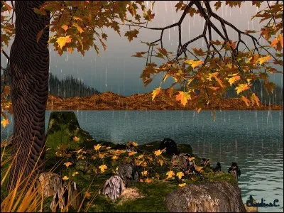 C'était sa "ballade en novembre", elle chantait "Qu'on me laisse à mes souvenirs, qu'on me laisse à mes amours mortes" :