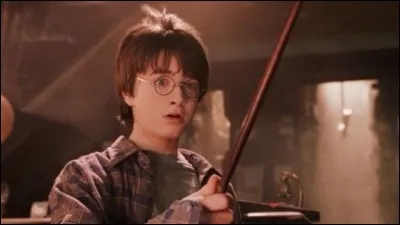 Avec qui Harry doit-il &eacute;tudier la L&eacute;gimancie ?