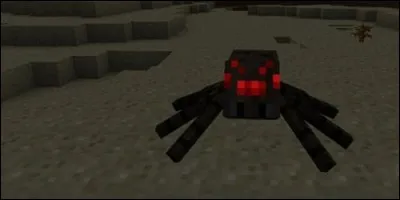 Quand l'araignée est exposée au soleil, que se passe t-il ?