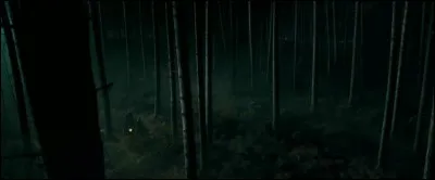 La Première Tâche du Tournoi des Trois Sorciers implique des Dragons. Des rumeurs s'ébruitent rapidement et les sorciers sont finalement prévenus. Où les Dragons sont-ils cachés dans le quatrième film avant le début du Tournoi ?