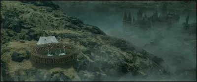 Harry Potter hérite du Dragon le plus dangereux lors de cette Première Tâche. Si les trois autres Champions vont utiliser des sortilèges magiques pour vaincre leur dragon respectif, comment Harry Potter va-t-il se débrouiller ?