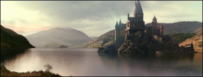Le Tournoi des Trois Sorciers est l'élément central de l'intrigue du film "Harry Potter et la Coupe de Feu". C'est un Tournoi magique au cours duquel plusieurs écoles sont conviées. Combien d'écoles y participent traditionnellement ?