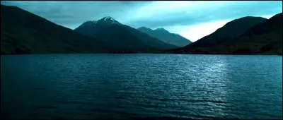 Suite à la fin de la Deuxième Tâche, et après que tous les sorciers prisonniers des eaux aient été récupérés, un classement doit être communiqué. Quel est le nombre de points obtenu par le vainqueur de l'épreuve Cédric Diggory ?