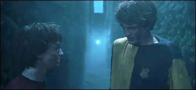 Alors que la Troisième Tâche se poursuit, les événements s'enchaînent rapidement au point que seuls Harry Potter et Cédric Diggory restent en course. Bartemius Croupton Jr. a mis les autres Champions hors de la compétition. Quels sortilèges magiques a-t-il utilisé ?