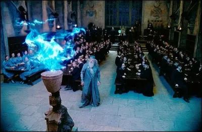 Au cours de l'Histoire, le Tournoi des Trois Sorciers s'est tenu à plusieurs reprises depuis la première édition en 1294. Néanmoins, le Tournoi est interrompu après l'édition de 1792. Quelle est la raison justifiant la suspension de la compétition ?