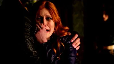 Combien y a-t-il de saisons ?