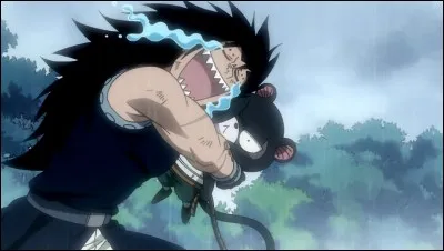 Comment s'appelle le "chat" de Gajeel ?