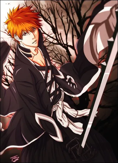 Face à quel personnage Ichigo s'est-il battu avec son bankai ?