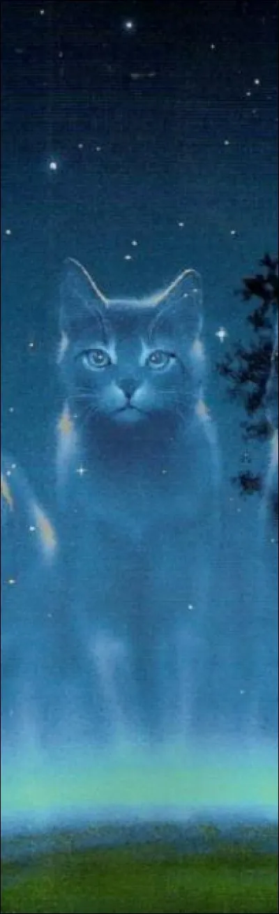 Quel serait ton caractère ?