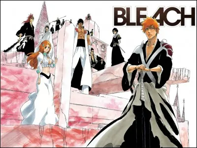 Quel est le Shinigami qui n'a pas de bankai ?