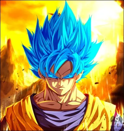 Grâce à qui Goku a-t-il développé le Super Saiyen Blue ?