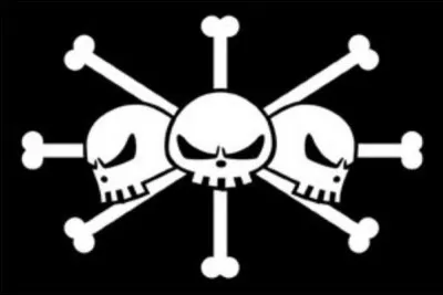 À quel équipage appartient ce drapeau ?