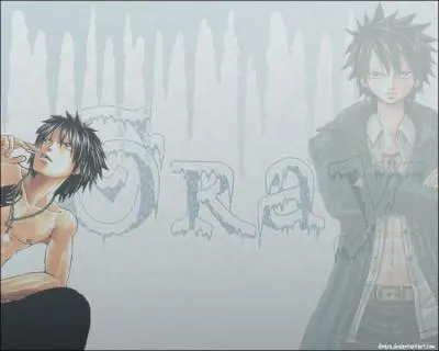 Quel lment contrle Grey ?