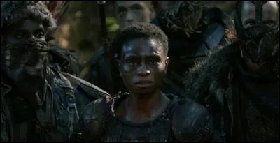 Qui sont les ennemis des Grounders ? (dans la saison 1)