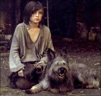 A cause de qui les parents de Jacquou sont morts ?