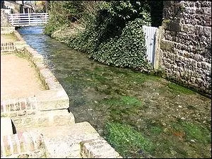 Quel est le pourcentage d'eau douce sur terre ?