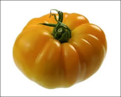 Cette tomate jaune-orange est une tomate...