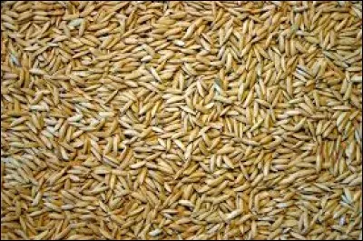 Ce sont des grains...