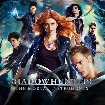 "Shadowhunters" signifie :