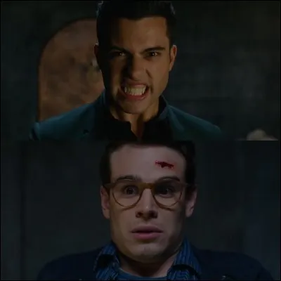 Simon et Raphael sont des :