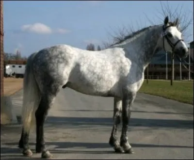 Quand tu es au pas et que tu dois faire un slalom, que fais-tu pour tourner ?