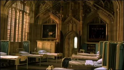 Quel est le nom de cette pièce du château ?
 (Des commodes à côté de chaque lit, des fenêtres et des tableaux)