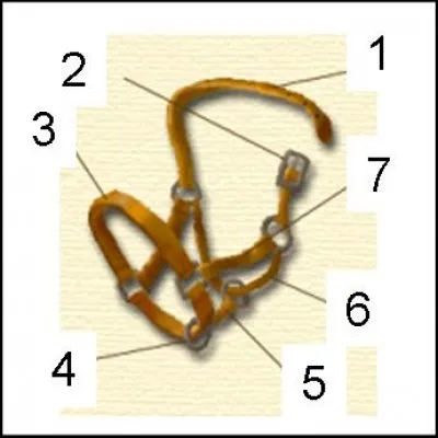 Quel est le nom du numéro 7 ?