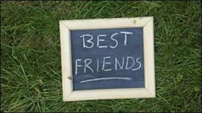 Un ami te dit que tu l'avais trompé.