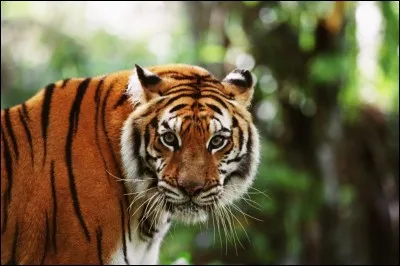 2004 - De quel film est extraite cette photo ?