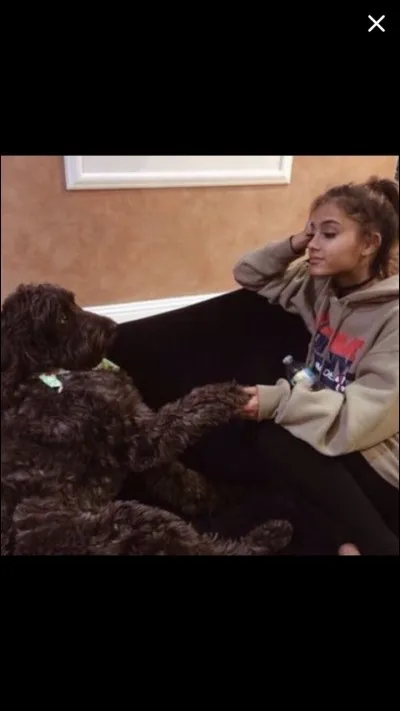 Quel est le nom du chien sur la photo ?