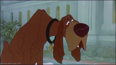 Quel chien est toujours en compagnie de César ?