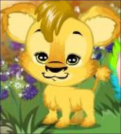 Combien coûte un petpet ?