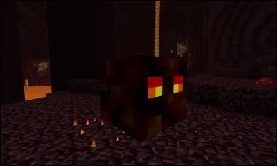 Que loutent les magmas cubes ?