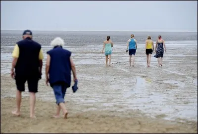 À quel pays associez-vous la mer des Wadden ?