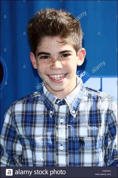 Quelles sont ses professions ?