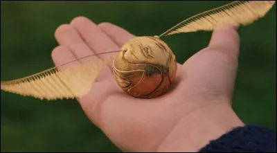 Et pour finir...
Quel est le nom de cet objet ? (Utilisé dans les matchs de Quidditch)