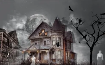 À quel homme doit-on "Les fantômes du Brésil : Roman" ?