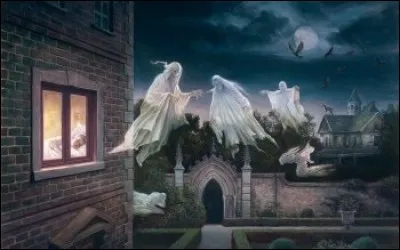 "Le Fantôme" est un roman écrit par :